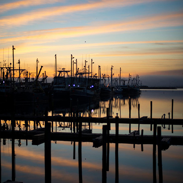 Fishing Boats at Dock During Sunset