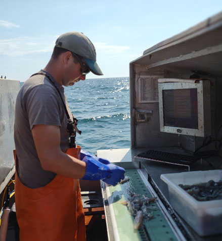 Man Doing Research on Fishing Boat