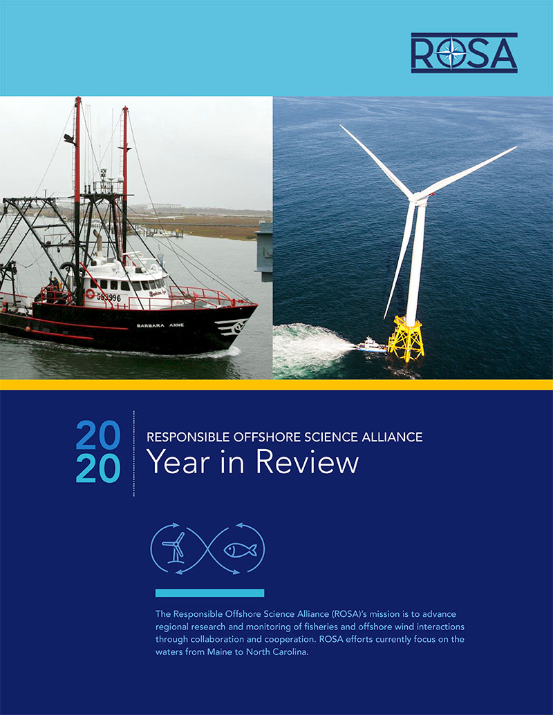 Year in Review Cover