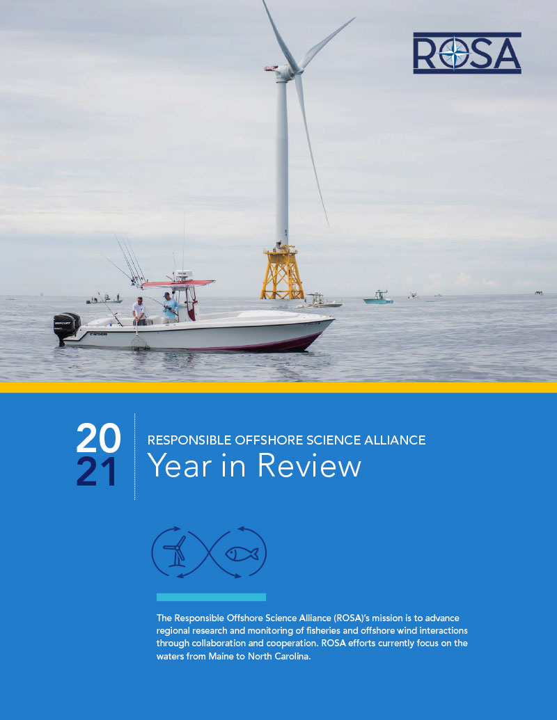 Year in Review Cover