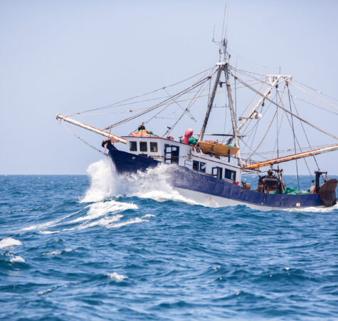 Fishing Boat in the Ocean