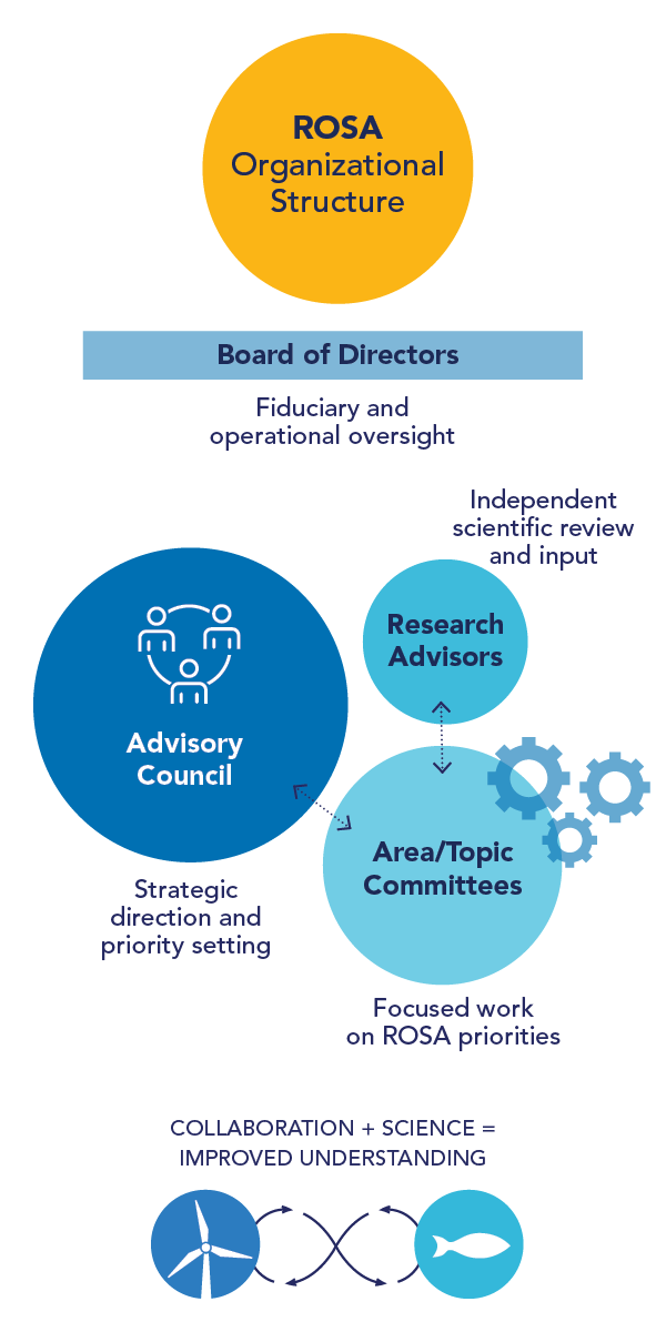 ROSA Leadership Infographic