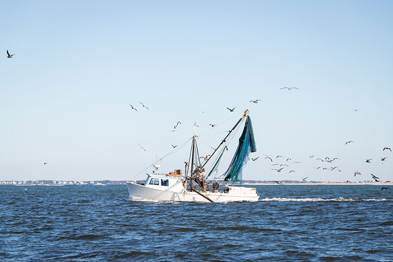 Small Fishing Boat