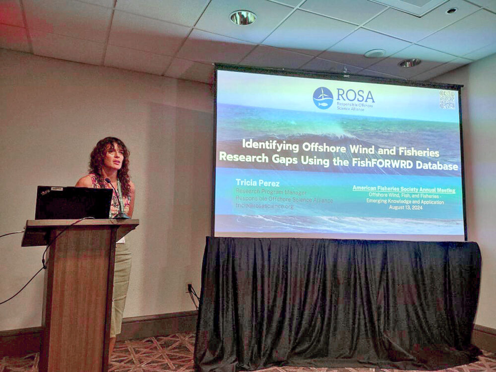 In this issue of our newsletter, you will find funding support updates, the latest happenings with the Data Governance Program, updates on our Peer Review of the Research Gaps Analysis, and a first look at ROSA's fifth consecutive year co-hosting a symposium at the American Fisheries Society annual meeting.