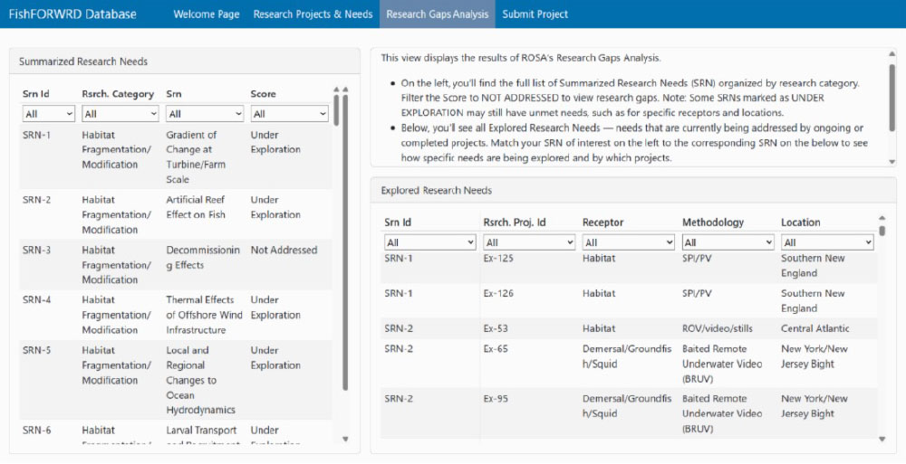 ROSA Research Gaps Analysis Live